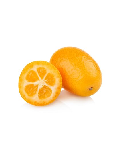 Citrus kumquat - stam 15-25 cm - totale hoogte 40-50 cm - pot &Oslash; 15 cm