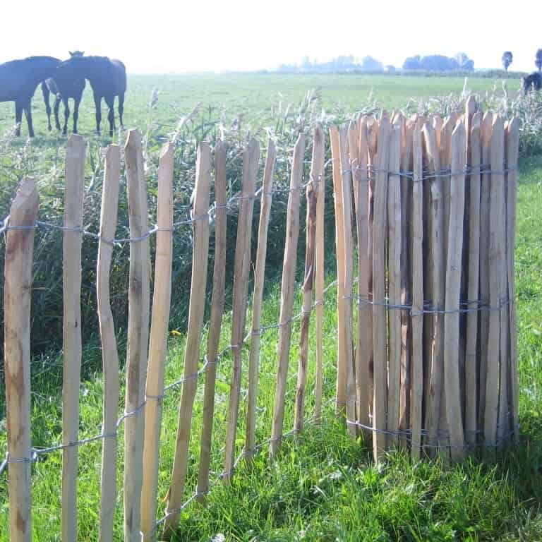 De verschillende toepassingen van kastanjehekken in de tuin